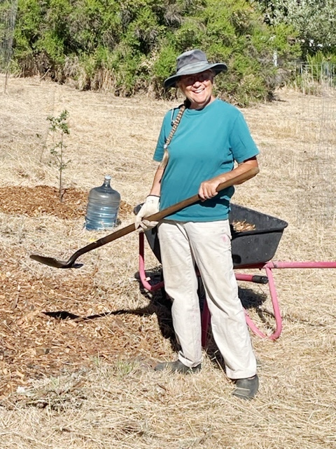 Judy loading mulch into a wheelbarrow!